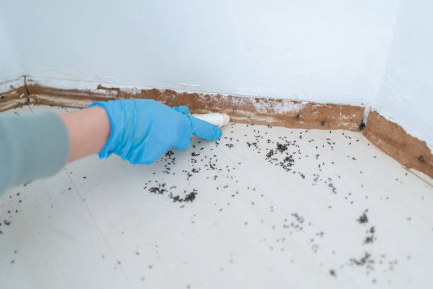 Pest Prevention Services in Springville, IA